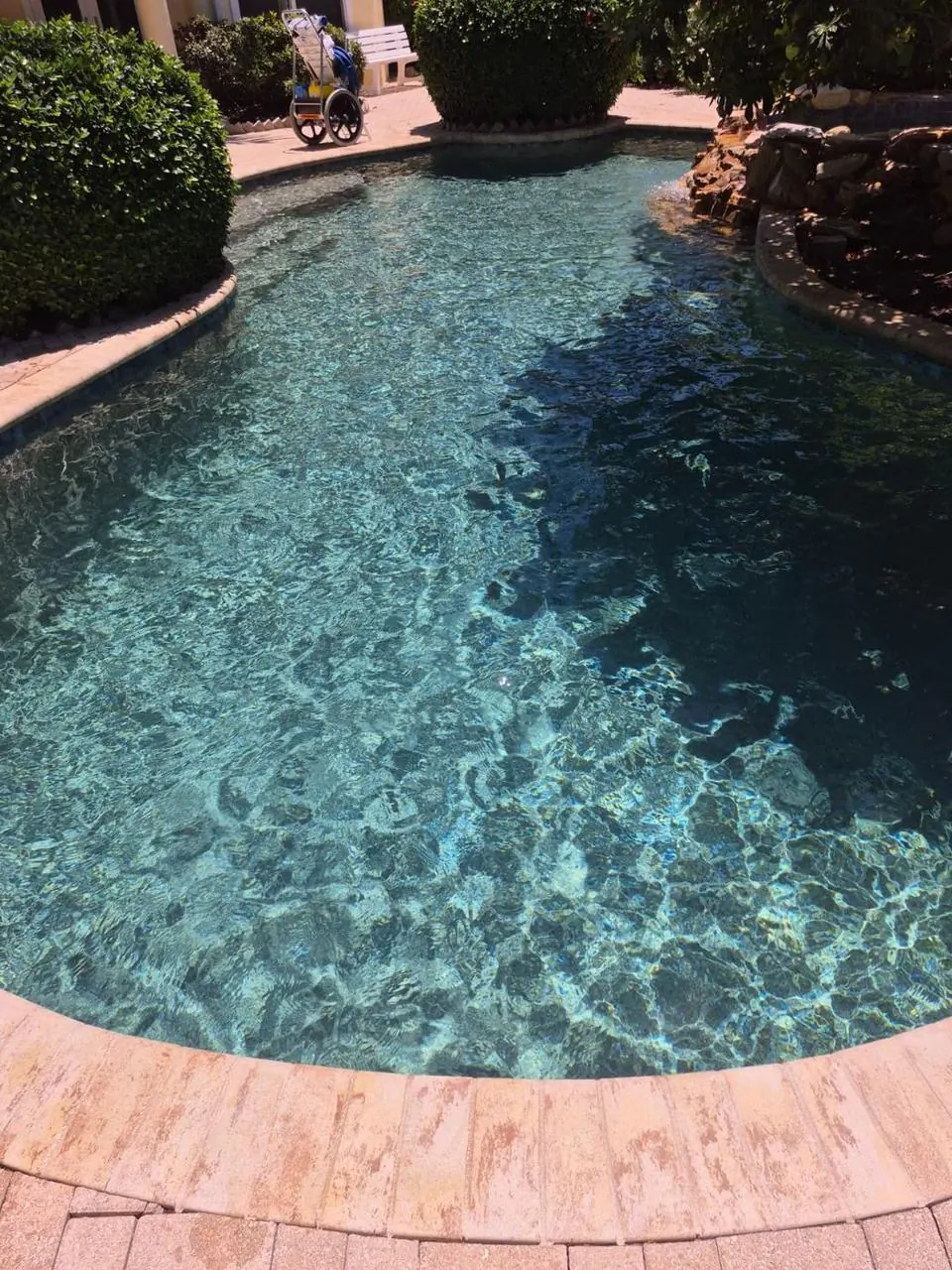 Freeform pool with brick coping