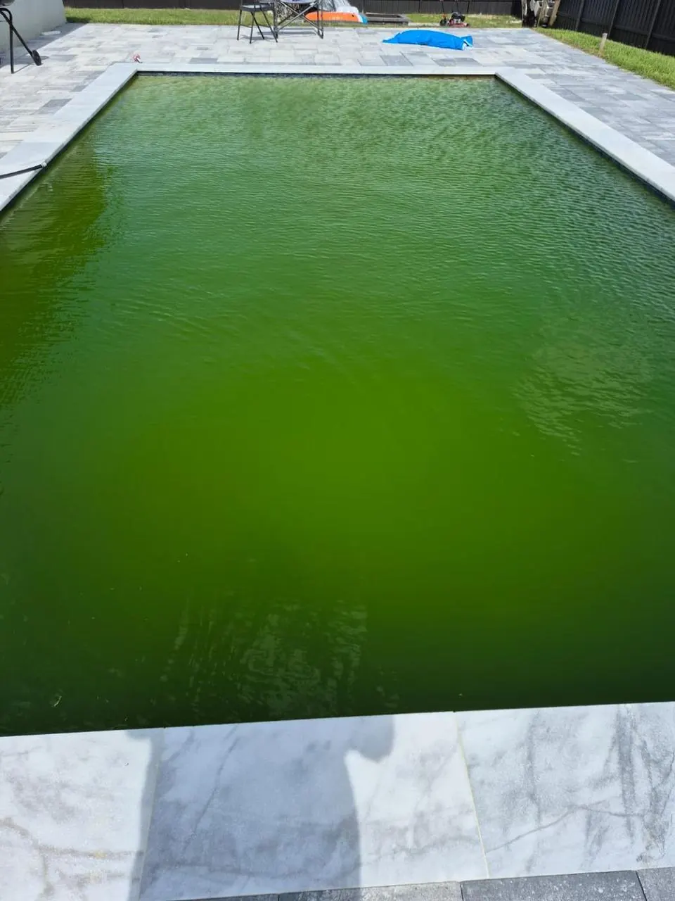 The pool before service: green water