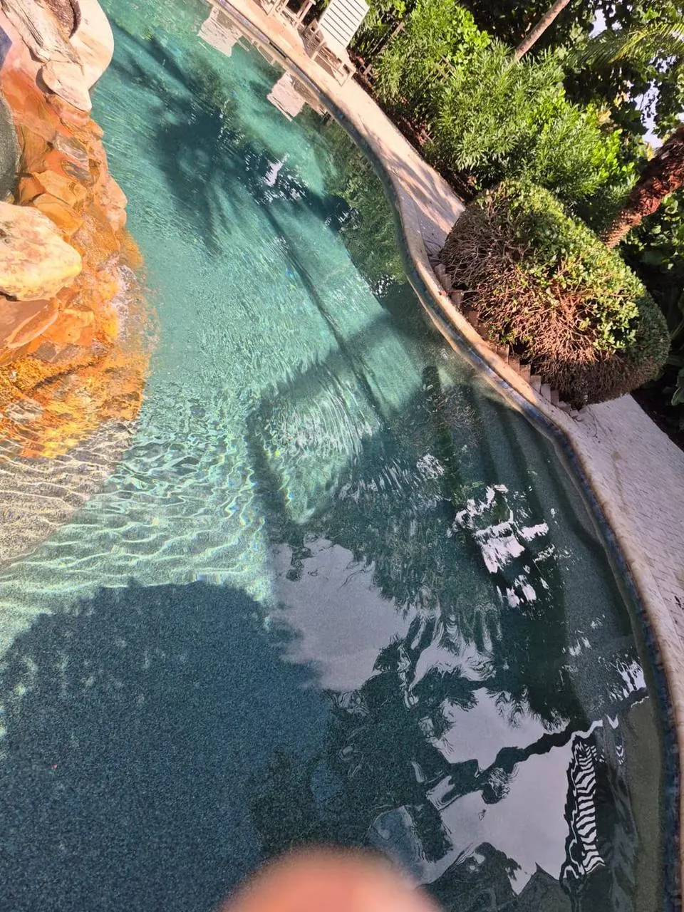 Pool with rock grotto